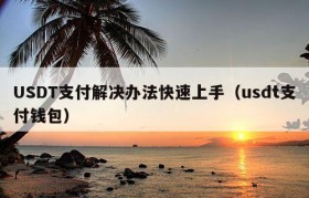 USDT支付解决办法快速上手（usdt支付钱包）
