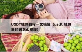 USDT钱包教程一文搞懂（usdt 钱包里的钱怎么提现）