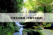 宁夏近日新闻（宁夏今日新闻）