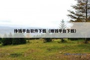 挣钱平台软件下载（赚钱平台下载）