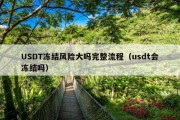 USDT冻结风险大吗完整流程（usdt会冻结吗）