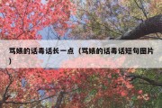 骂婊的话毒话长一点（骂婊的话毒话短句图片）