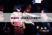 内涵MV（内涵骂人不带脏字）