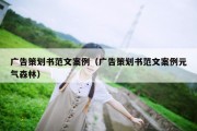 广告策划书范文案例（广告策划书范文案例元气森林）