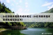小红书美食程序员成长笔记（小红书美食程序员成长笔记怎么写）