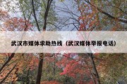 武汉市媒体求助热线（武汉媒体举报电话）