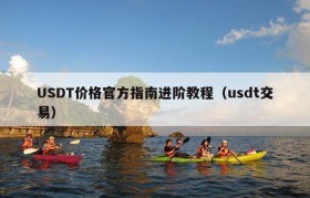 USDT价格官方指南进阶教程（usdt交易）