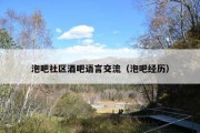 泡吧社区酒吧语言交流（泡吧经历）