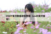 USDT支付教程进阶教程（usdt支付钱包）