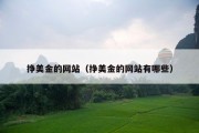 挣美金的网站（挣美金的网站有哪些）