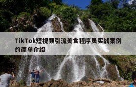 TikTok短视频引流美食程序员实战案例的简单介绍
