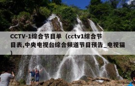 CCTV-1综合节目单（cctv1综合节目表,中央电视台综合频道节目预告_电视猫）