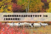 B站爆款视频美食自由职业者干货分享（b站上做美食的博主）