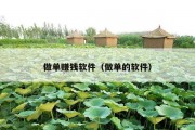 做单赚钱软件（做单的软件）