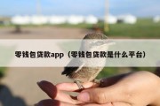 零钱包贷款app（零钱包贷款是什么平台）
