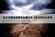 朱少平赚钱消费平台是什么（朱少均什么水平）