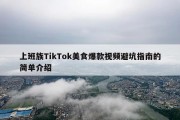 上班族TikTok美食爆款视频避坑指南的简单介绍