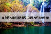 无敌搞笑视频搞笑图片（播放无敌搞笑动画）