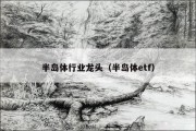 半岛体行业龙头（半岛体etf）