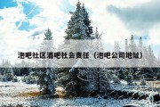 泡吧社区酒吧社会责任（泡吧公司地址）