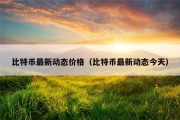比特币最新动态价格（比特币最新动态今天）
