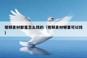 视频素材都是怎么找的（视频素材哪里可以找）