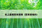 史上最难憋笑视频（憋笑很难的）