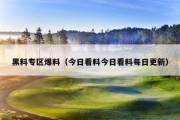 黑料专区爆料（今日看料今日看料每日更新）