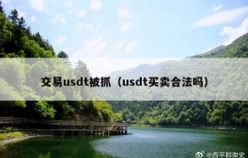 交易usdt被抓（usdt买卖合法吗）