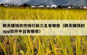聊天赚钱软件排行前三名有哪些（聊天赚钱的app软件平台有哪些）