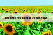 爱情追梦长镜头清新横屏（爱情追逐歌曲）