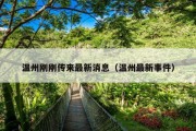 温州刚刚传来最新消息（温州最新事件）