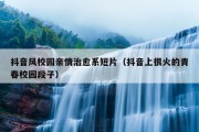 抖音风校园亲情治愈系短片（抖音上很火的青春校园段子）