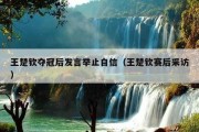 王楚钦夺冠后发言举止自信（王楚钦赛后采访）