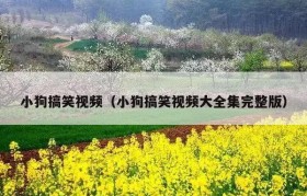 小狗搞笑视频（小狗搞笑视频大全集完整版）