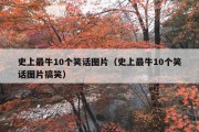 史上最牛10个笑话图片（史上最牛10个笑话图片搞笑）