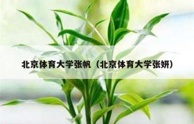北京体育大学张帆（北京体育大学张妍）