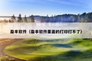 盈丰软件（盈丰软件里面的打印打不了）