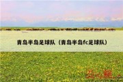 青岛半岛足球队（青岛半岛fc足球队）