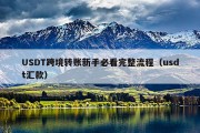 USDT跨境转账新手必看完整流程（usdt汇款）
