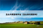 怎么代理游戏平台（怎么样代理游戏）