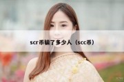 scr币骗了多少人（scc币）