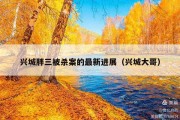 兴城胖三被杀案的最新进展（兴城大哥）