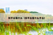 挂平台是什么（挂平台是什么平台）