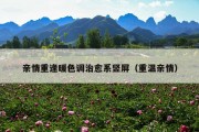 亲情重逢暖色调治愈系竖屏（重温亲情）
