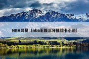 NBA网易（nba王毅三分体验卡小说）