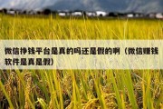 微信挣钱平台是真的吗还是假的啊（微信赚钱软件是真是假）