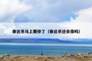 泰达币马上要停了（泰达币还会涨吗）