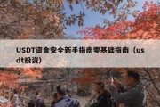 USDT资金安全新手指南零基础指南（usdt投资）