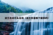 波兰币叫什么名称（波兰币是哪个国家的）